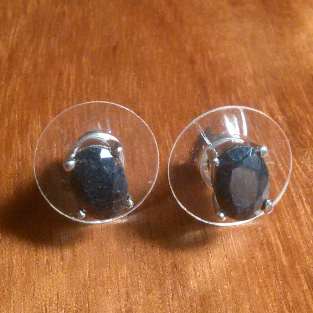 Midnight Sapphire Stainless Steel Stud Earrings